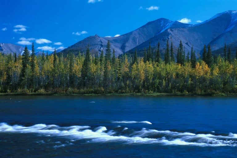 Traumhafte Landschaft in Yukon