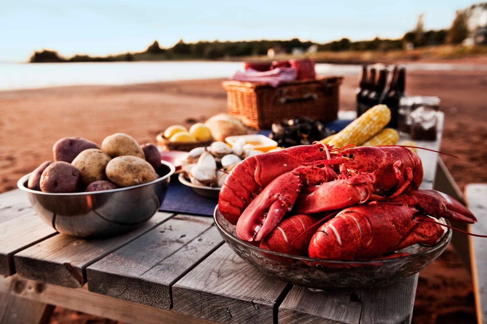 Fangfrische Meeresfrüchte, am Strand zubereitet