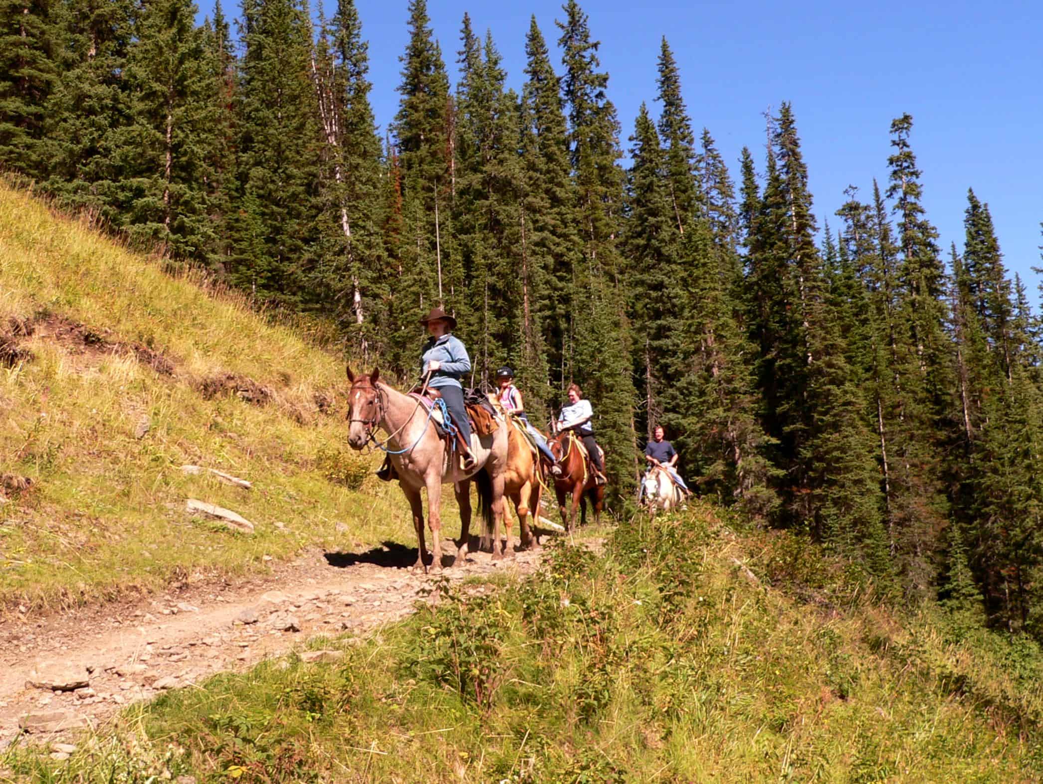 Im Jahr des Pferdes: Hoch zu Ross im Banff National Park