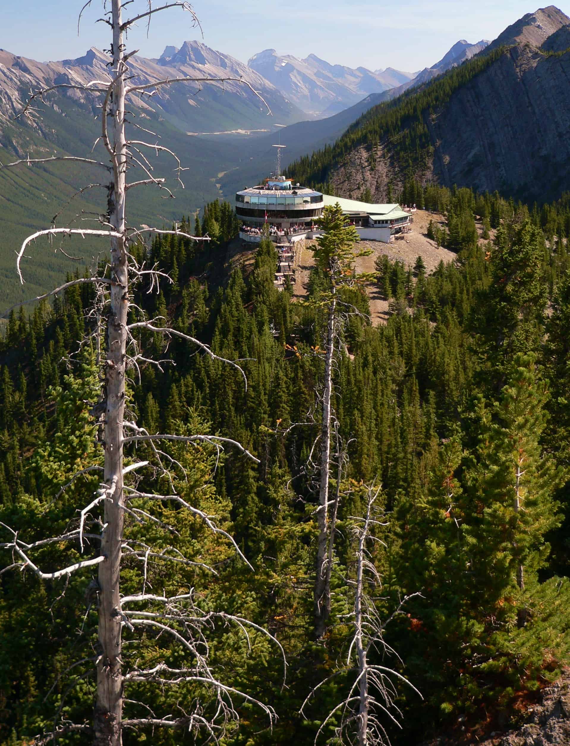 Banff Gondola: Ein ganzjähriges Erlebnis mit 360°-Panoramaaussicht