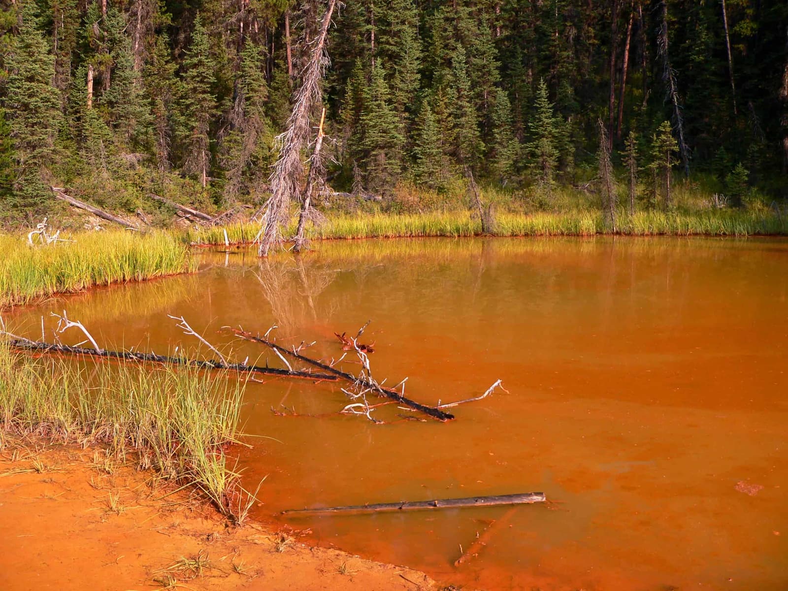 Zu den Ocker-Farbtöpfen im Kootenay National Park