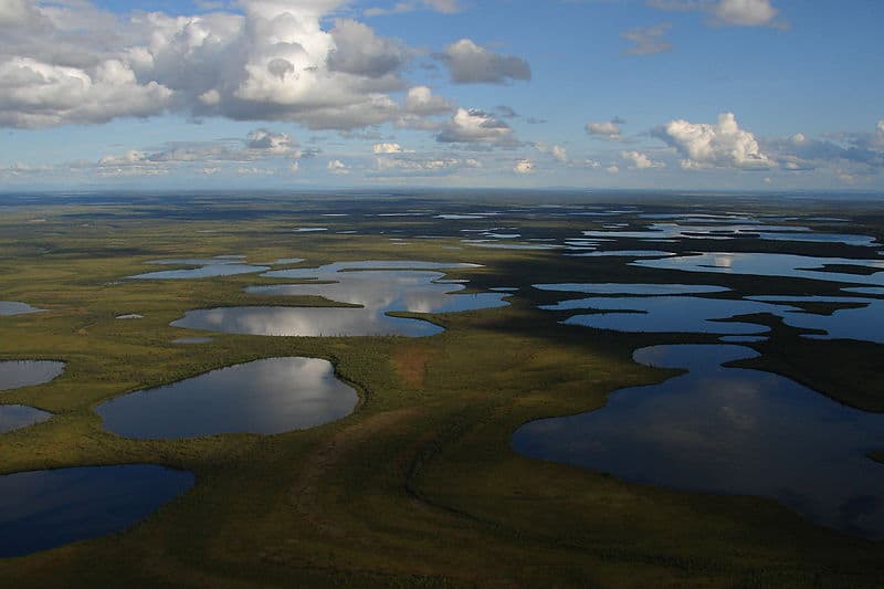 Zwischen den Seen: Der Vuntut National Park in Yukons äußersten Nordwesten
