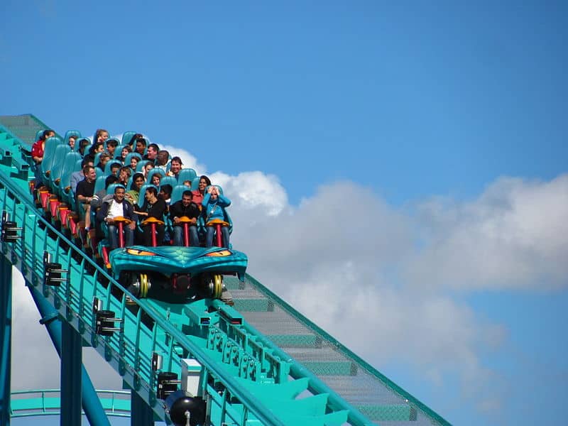 Woohoo! Life is a Rollercoaster!