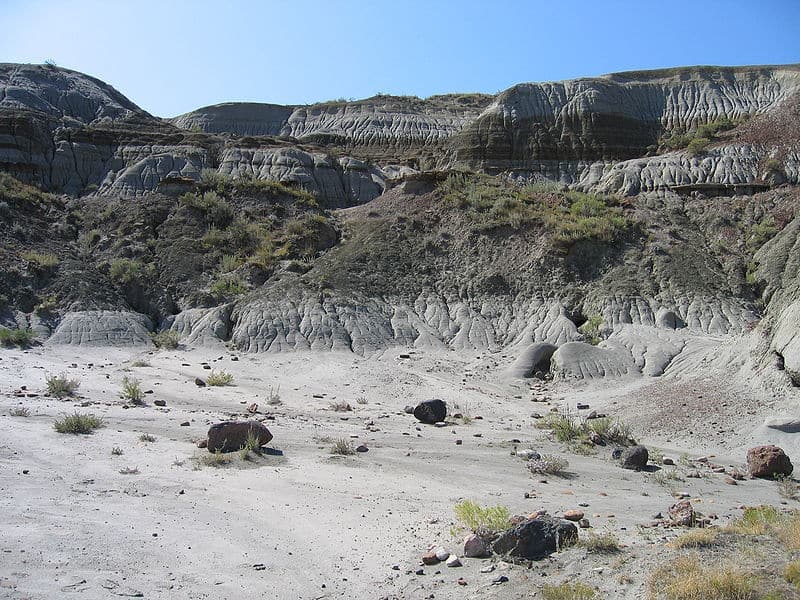 Zurück in die Urzeit: Der Dinosaur Provincial Park, Alberta