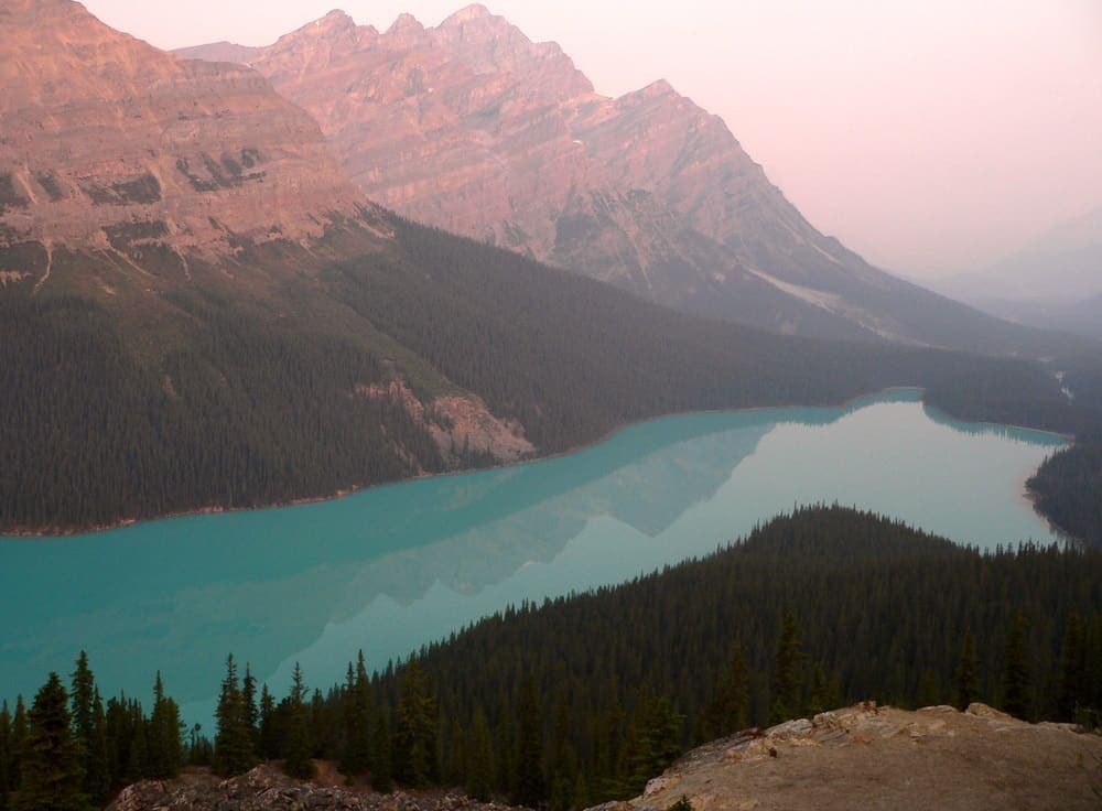 Der Peyto Lake: Ein touristisches Muss am Icefields Parkway