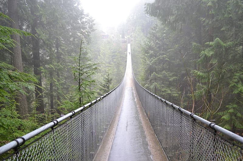 Capilano Suspension Bridge Park, North Vancouver