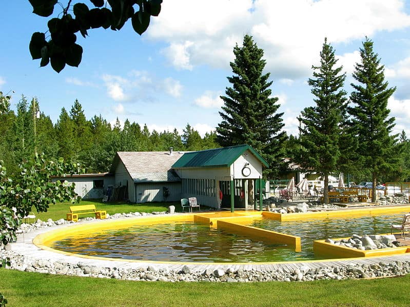 Takhini Hot Springs: Entspannung im Wasser heißer Quellen