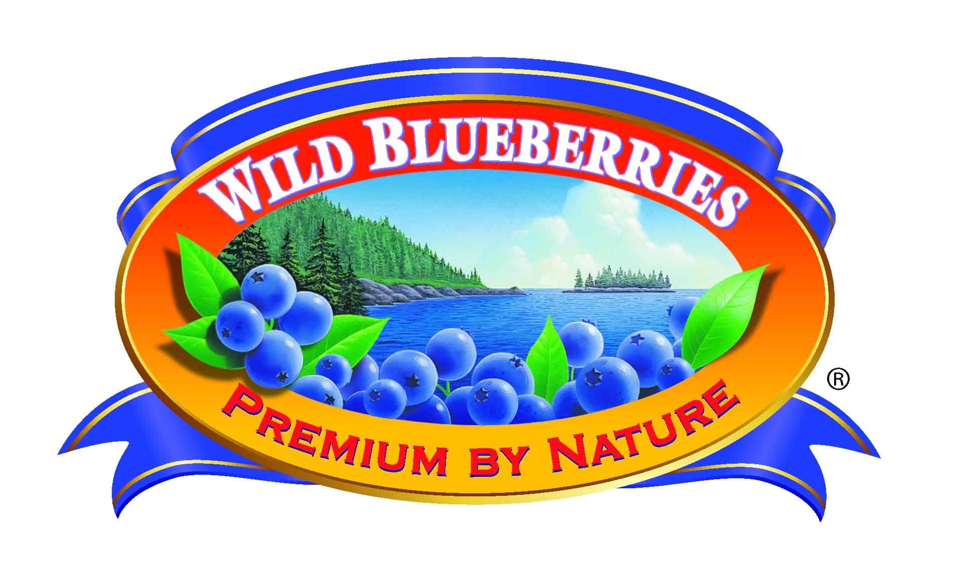 1. Wild Blueberries Cup in der Schwäbisch Gmünder Kletterschmiede