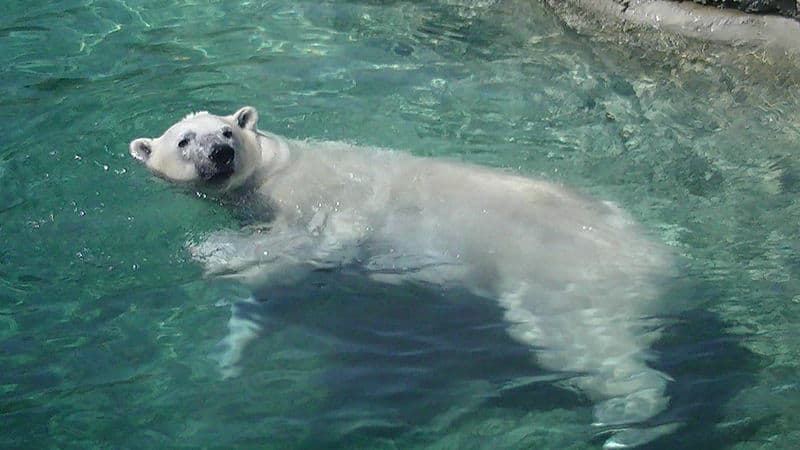 Toronto Zoo: Get closer. Discover more. All year round.