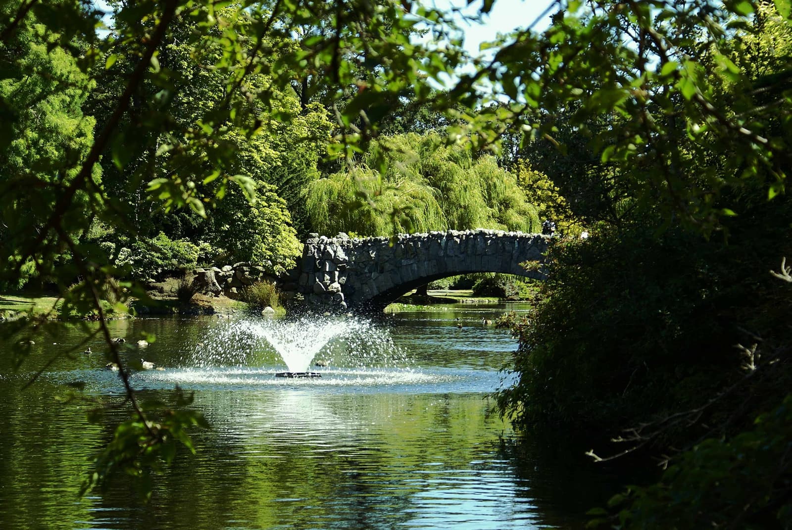 Der Beacon Hill Park: Das grüne Herz von Downtown Victoria