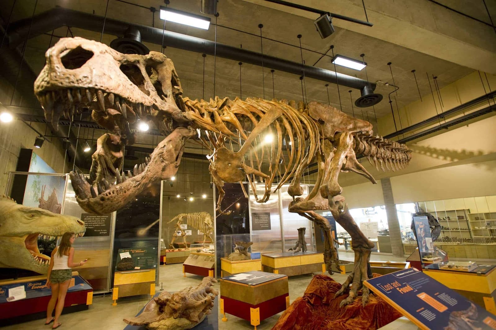 T.Rex „Scotty“ wird Wahrzeichen Saskatchewans