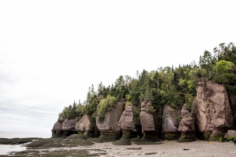 Fundy National Park, Bay of Fundy, New Brunswick - Foto Canadian Tourism Commission