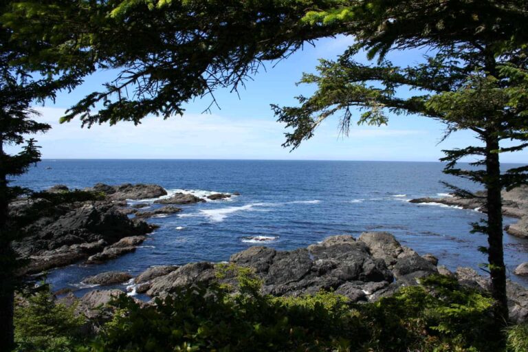 Wild Pacific Trail in Ucluelet - Foto Tobias Barth