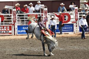 Calgary Stampede - größtes Rodeo der Welt