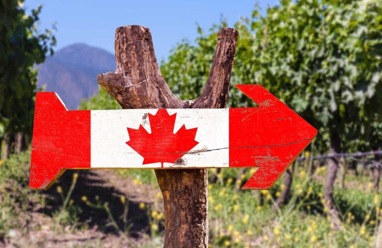 Rebfläche Weinbau mit Kanada Schild.