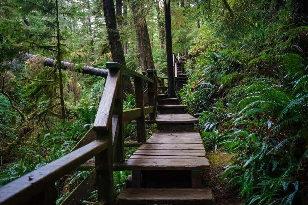 Vancouver Island - Tolle Trails im Regenwald