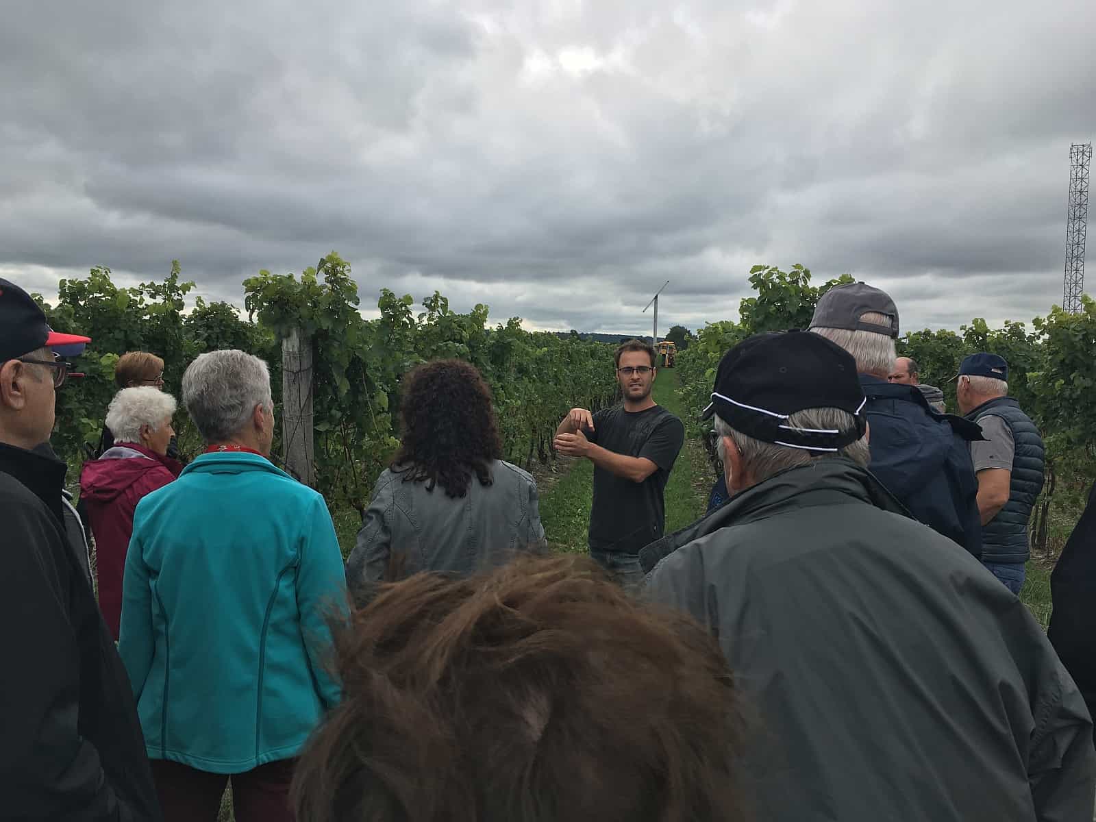Im Vineyard erfahren Besucher Wissenswertes über den Weinbau in Kanada. Foto Between the Lines Winery, NotL