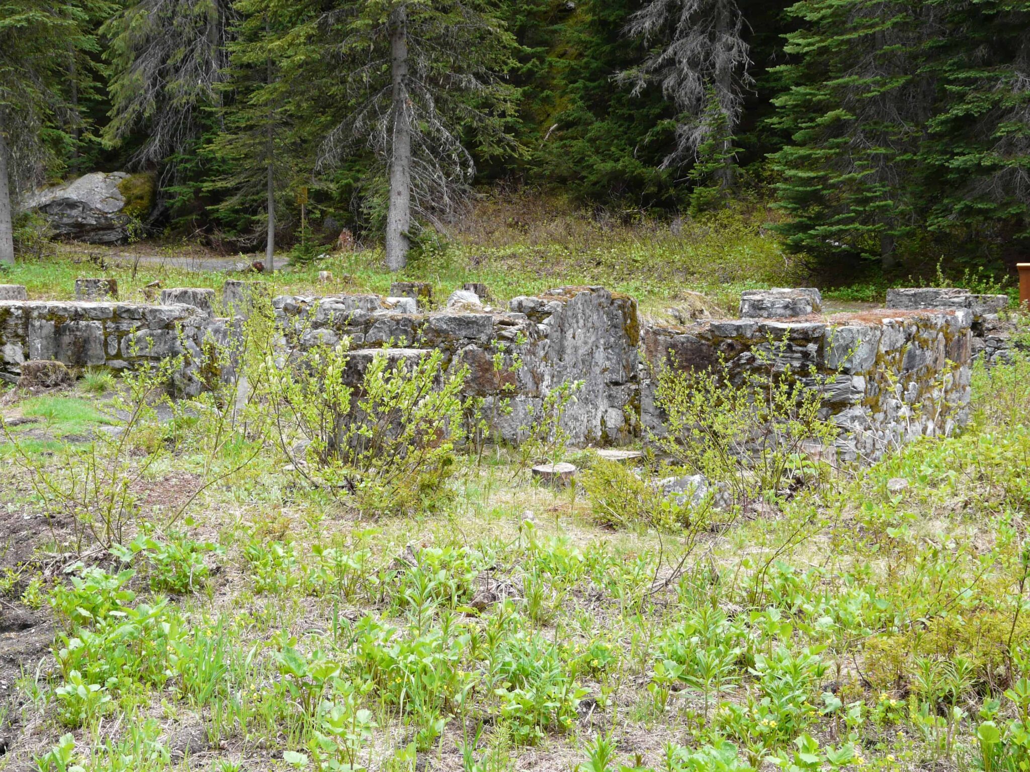 Glacier Nationalpark Faszination Kanada