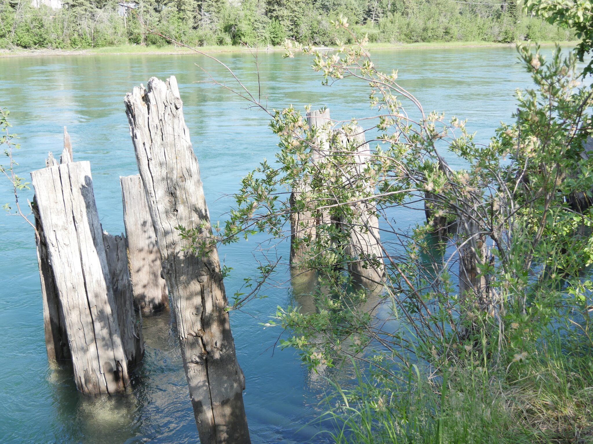 Die Heritage River des Yukon Territorium
